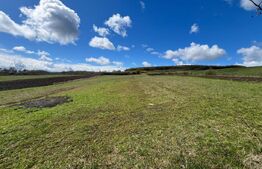 Teren extravilan de vânzare – 25 ari, panorama superbă, la doar 8 km de Bistrița