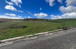 Teren extravilan de vânzare – 25 ari, panorama superbă, la doar 8 km de Bistrița