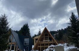 Cabane tip A, 4 camere, 300 mp/cabană, zona Colibița