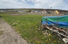 Teren intravilan de vanzare, 800 mp Valea Slatinitei