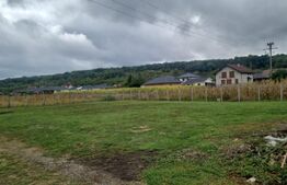 Teren intravilan de vanzare, 800 mp Valea Slatinitei