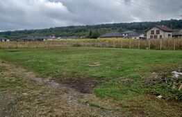 Teren intravilan de vanzare, 800 mp Valea Slatinitei