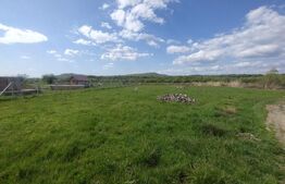 Teren intravilan, 1229 mp (12,29 ari),utilitati, zona Rusu Bargaului