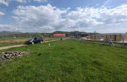 Teren intravilan, 1229 mp (12,29 ari),utilitati, zona Rusu Bargaului