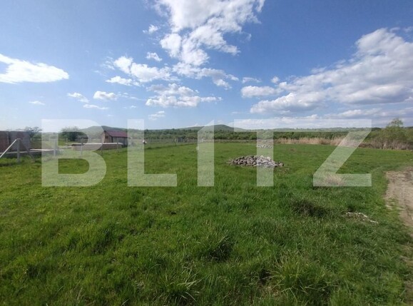 Teren de vânzare Central - 169457TV | BLITZ Bistriţa | Poza2