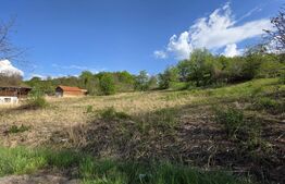 Teren Intravilan de vanzare, 900 mp, zona Valea Jelnei