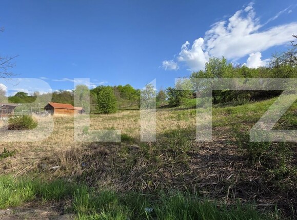 Teren de vânzare Exterior Est - 169463TV | BLITZ Bistriţa | Poza2