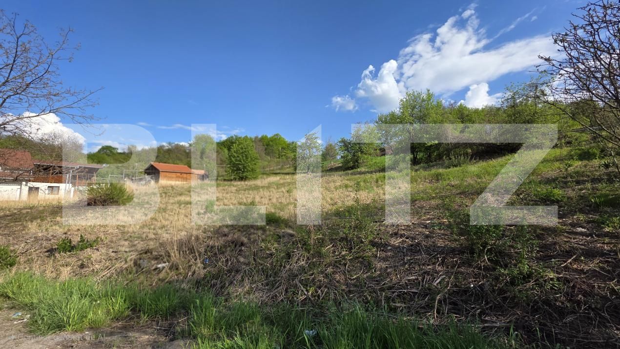 Teren de vânzare Exterior Est - 169463TV | BLITZ Bistriţa | Poza2