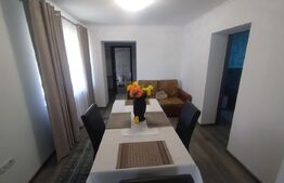 Casa 8 camere,200mp,2 nivele,6 ari de teren,Bistrita Bargaului