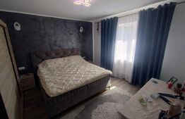 Casa 8 camere,200mp,2 nivele,6 ari de teren,Bistrita Bargaului