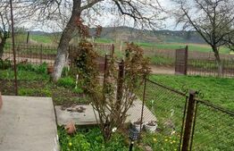 Casa traditionala cu 3 camere, 70 mp, teren 6000 mp, in zona Micestii de Campie