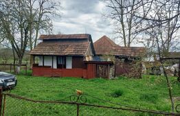 Casa traditionala cu 3 camere, 70 mp, teren 6000 mp, in zona Micestii de Campie