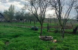 Casa traditionala cu 3 camere, 70 mp, teren 6000 mp, in zona Micestii de Campie