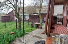 Casa traditionala cu 3 camere, 70 mp, teren 6000 mp, in zona Micestii de Campie