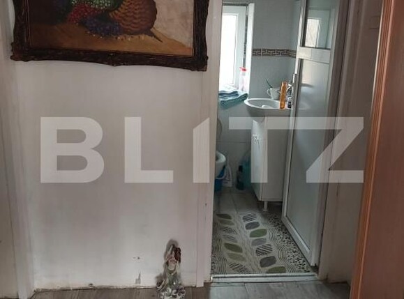 Casa de vânzare 3 camere Exterior Sud - 169608CV | BLITZ Bistriţa | Poza14