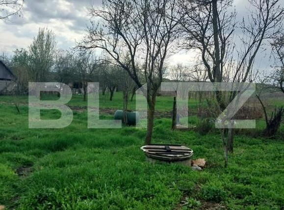 Casa de vânzare 3 camere Exterior Sud - 169608CV | BLITZ Bistriţa | Poza5