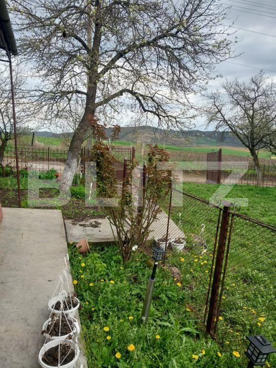 Casa de vânzare 3 camere Exterior Sud - 169608CV | BLITZ Bistriţa | Poza7