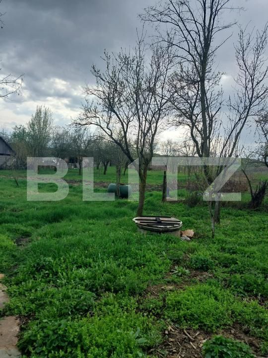 Casa de vânzare 3 camere Exterior Sud - 169608CV | BLITZ Bistriţa | Poza5