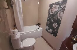 Apartament cu 3 camere, 57 mp, decomandat, zona Pietonal Liviu Rebreanu