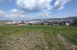 Teren intravilan de vanzare, 500 mp (5 ari), zona de centura, Leoni