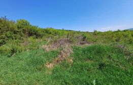 Teren de vânzare Sud-Vest - 185240TV | BLITZ Bistriţa | Poza5