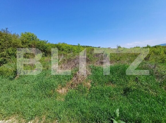 Teren de vânzare Sud - 169767TV | BLITZ Bistriţa | Poza1
