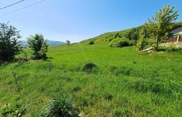 Teren intravilan de vanzare, 5000 mp, zona Viisoara, langa Metaller