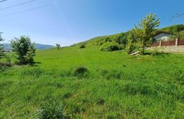 Teren intravilan de vanzare, 5000 mp, zona Viisoara, langa Metaller