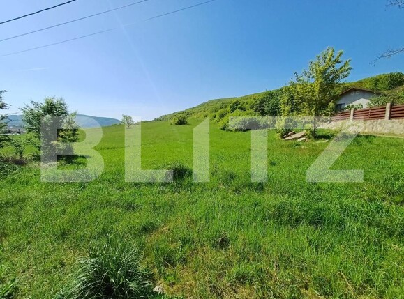 Teren de vânzare Sud - 169771TV | BLITZ Bistriţa | Poza1