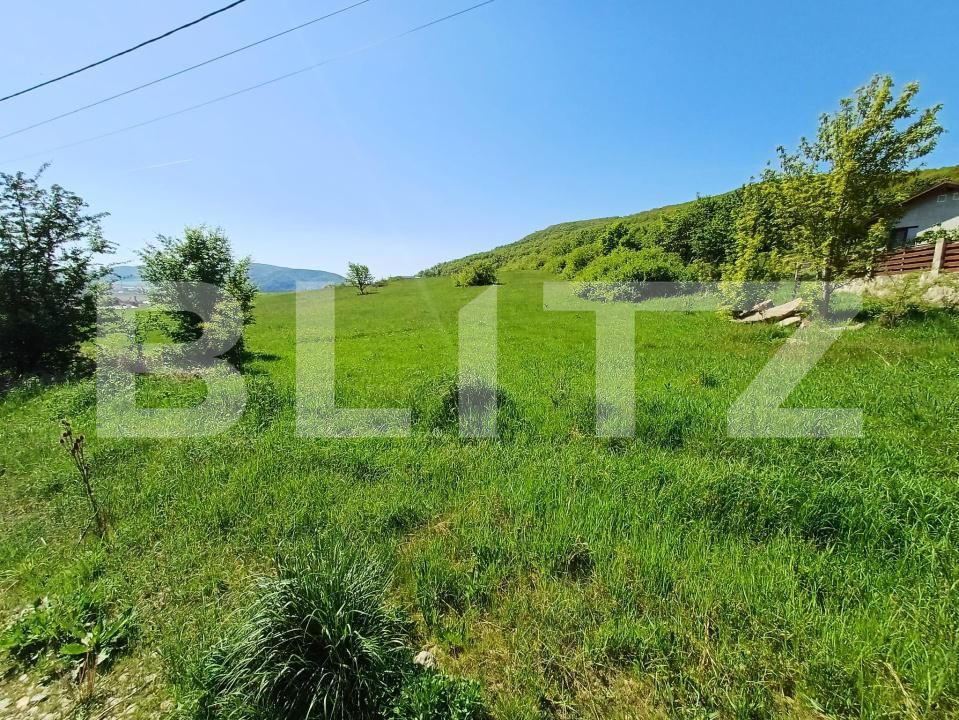 Teren de vânzare Sud - 169771TV | BLITZ Bistriţa | Poza2