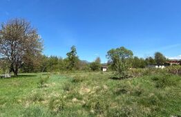 Teren de 30 ari de vânzare în Bistrița Bârgăului – zonă pitorească, ideală 