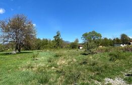 Teren de 30 ari de vânzare în Bistrița Bârgăului – zonă pitorească, ideală 