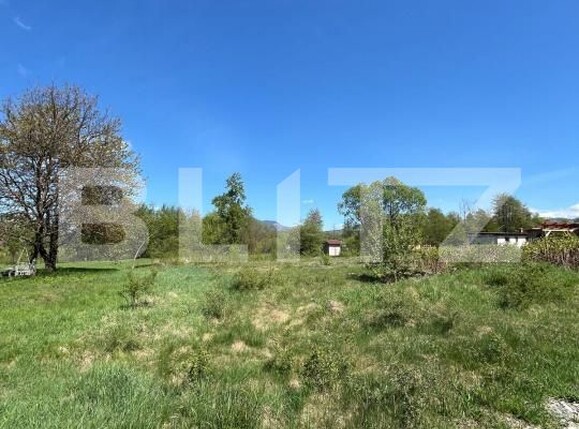 Teren de vânzare Bistrita Bargaului - 169809TV | BLITZ Bistriţa | Poza1