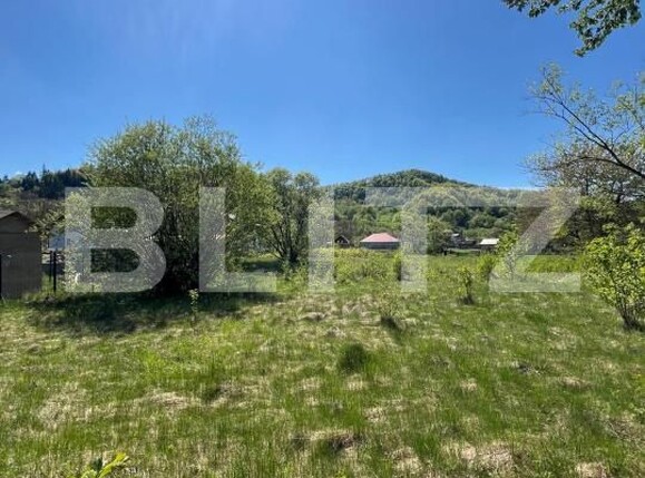 Teren de vânzare Bistrita Bargaului - 169809TV | BLITZ Bistriţa | Poza2