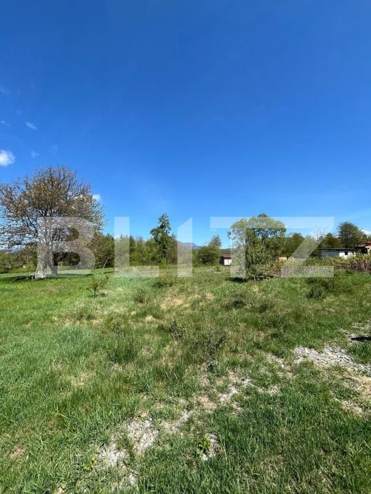 Teren de vânzare Bistrita Bargaului - 169809TV | BLITZ Bistriţa | Poza3