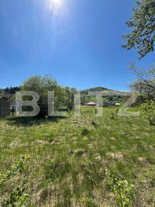 Teren de vânzare Bistrita Bargaului - 169809TV | BLITZ Bistriţa | Poza2