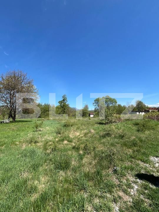 Teren de vânzare Bistrita Bargaului - 169809TV | BLITZ Bistriţa | Poza1