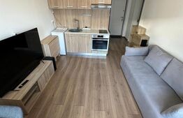 Apartament cu o camera, etaj 3/3, suprafata de 30 mp, zona Industriala