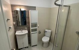 Apartament cu o camera, etaj 3/3, suprafata de 30 mp, zona Industriala