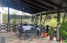 Casa individuala cu 5 camere, 240 mp,  12,8 ari teren, zona Valea Ghinzii