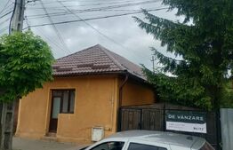 Casa de vanzare in centru, 16,5 ari teren, Nasaud