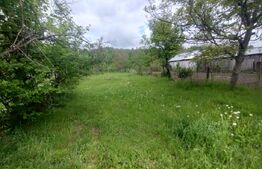 Casa de vanzare in centru, 16,5 ari teren, Nasaud