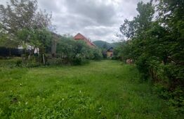 Casa de vanzare in centru, 16,5 ari teren, Nasaud