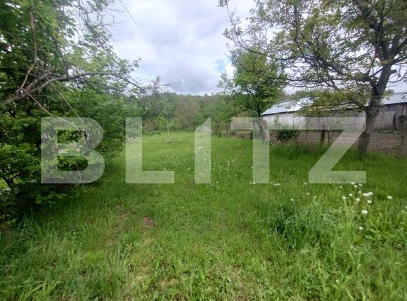 Casa de vânzare 3 camere Nasaud - 169931CV | BLITZ Bistriţa | Poza3