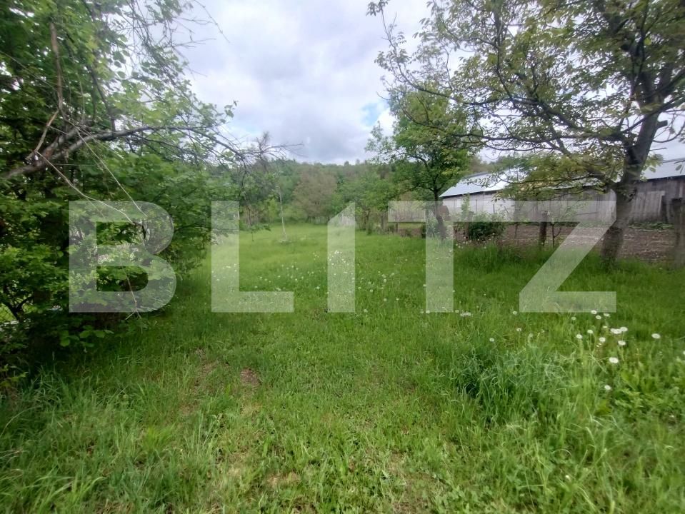 Casa de vânzare 3 camere Nasaud - 169931CV | BLITZ Bistriţa | Poza3