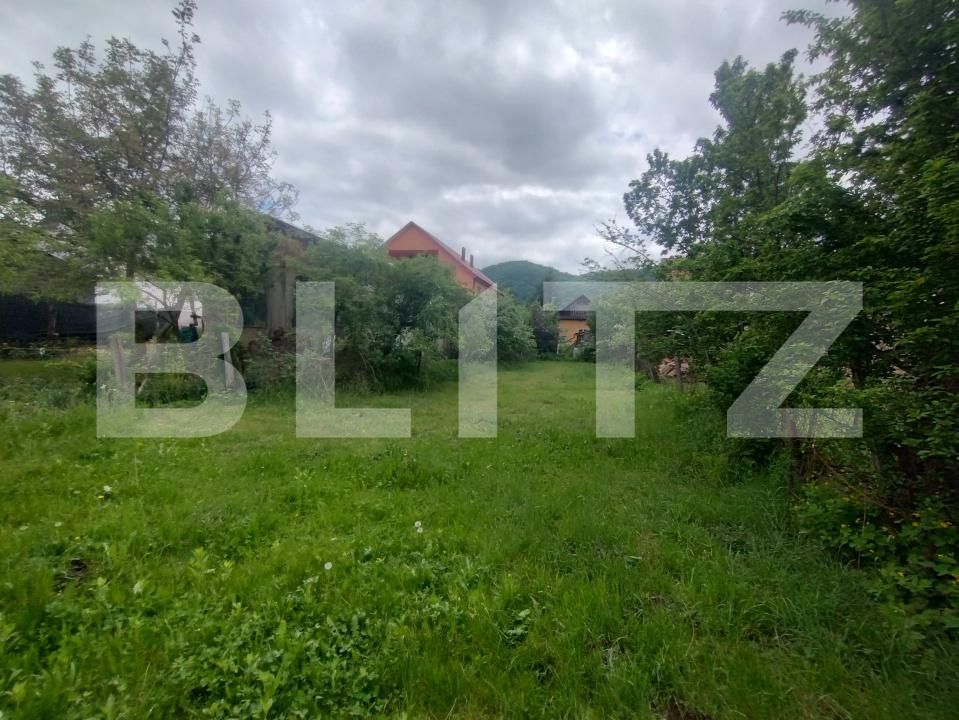 Casa de vânzare 3 camere Nasaud - 169931CV | BLITZ Bistriţa | Poza4