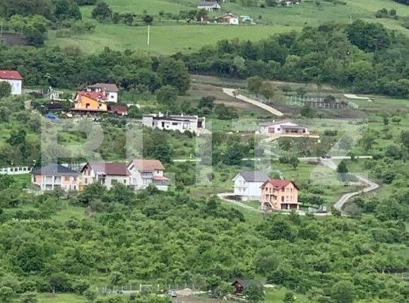 Casa de vânzare 5 camere Centura - 170008CV | BLITZ Bistriţa | Poza5