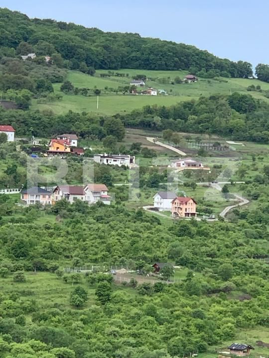 Casa de vânzare 5 camere Centura - 170008CV | BLITZ Bistriţa | Poza5