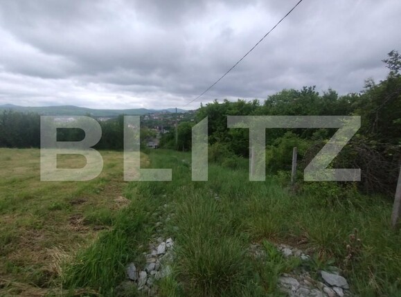 Teren de vânzare Centura - 170010TV | BLITZ Bistriţa | Poza2