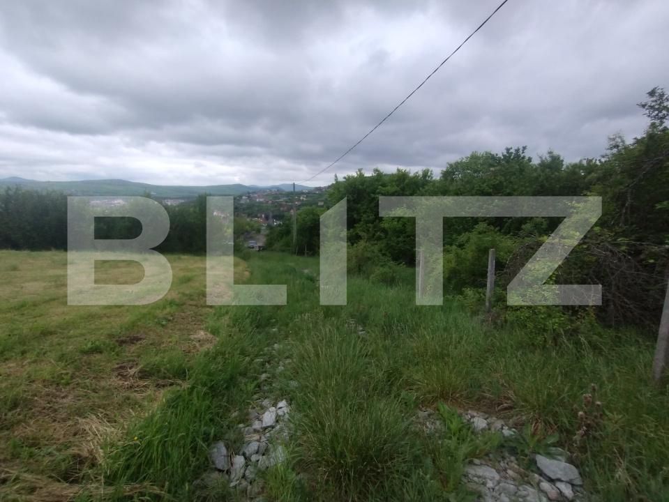 Teren de vânzare Centura - 170010TV | BLITZ Bistriţa | Poza2